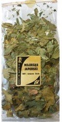 MIŁORZĄB JAPOŃSKI 100% liście suszone 100 g Astron (Ginko biloba)