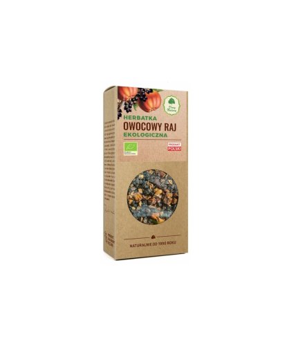 OWOCOWY RAJ 100 g Dary Natury herbatka owocowa