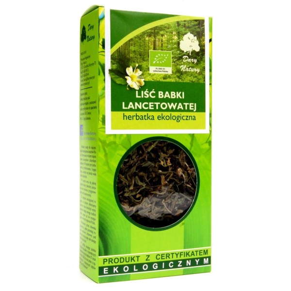 BABKA LANCETOWATA LIŚĆ 25 g eko Dary Natury
