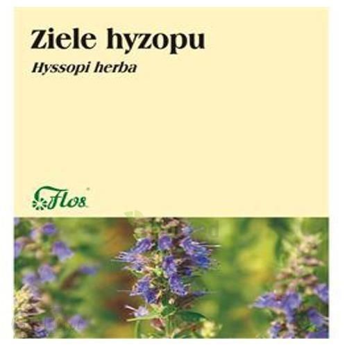 HYZOP ZIELE 50 g Flos