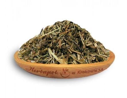 ŚWIETLIK zioła sypkie 50g Herbapol