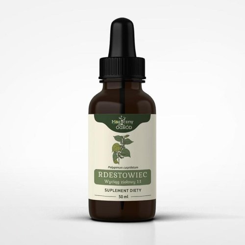 Nanga Rdestowiec Japoński - nalewka 50 ml