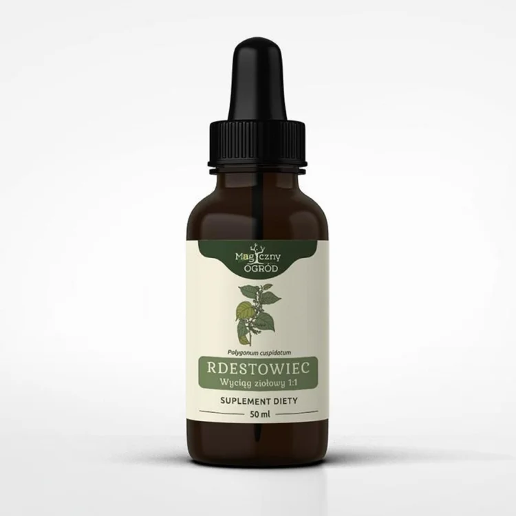 Nanga Rdestowiec Japoński - nalewka 50 ml