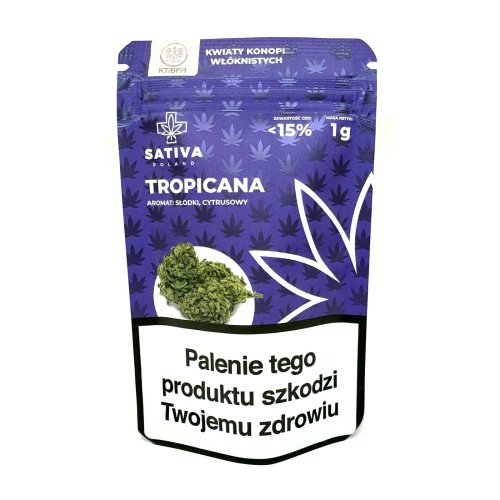 Tropicana 1G Kwiaty konopi włóknistych  Sativa CBD