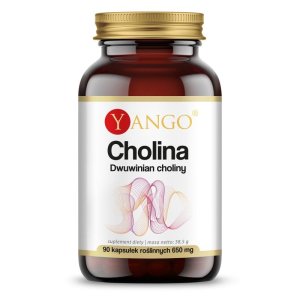 CHOLINA dwumian choliny 90 kaps 650 mg Yango