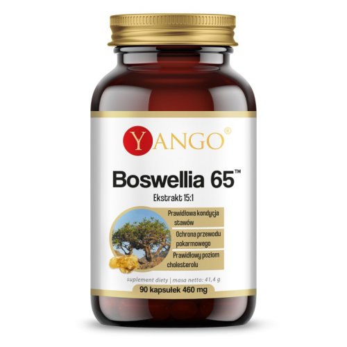 BOSWELLIA 65 90 kaps. Yango