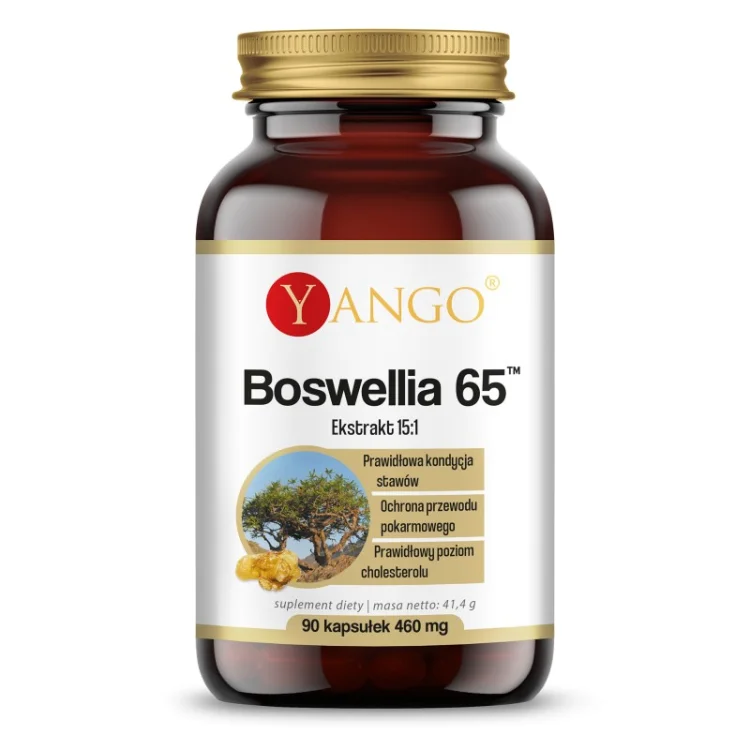 BOSWELLIA 65 90 kaps. Yango
