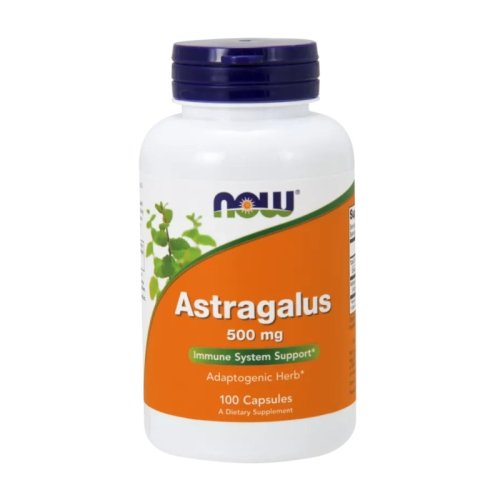 ASTRAGALUS 100 kapsułek - Now Foods