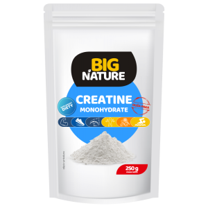 CREATINE MONOHYDRATE (KREATYNA) 250 g - Big Nature