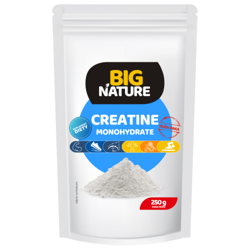 CREATINE MONOHYDRATE (KREATYNA) 250 g - Big Nature