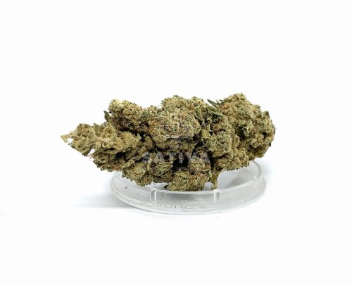 Sativa CBD SUPER SILVER HAZE  konopie 1 g